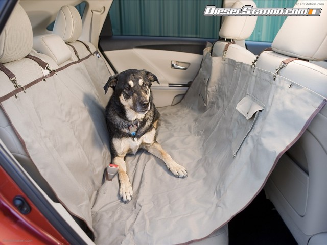 Toyota Venza 2009 Picture #7 Toyota Venza 2009 Picture #7